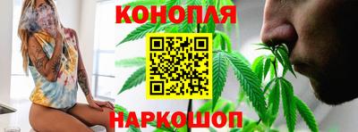 шишки Усть-Джегута
