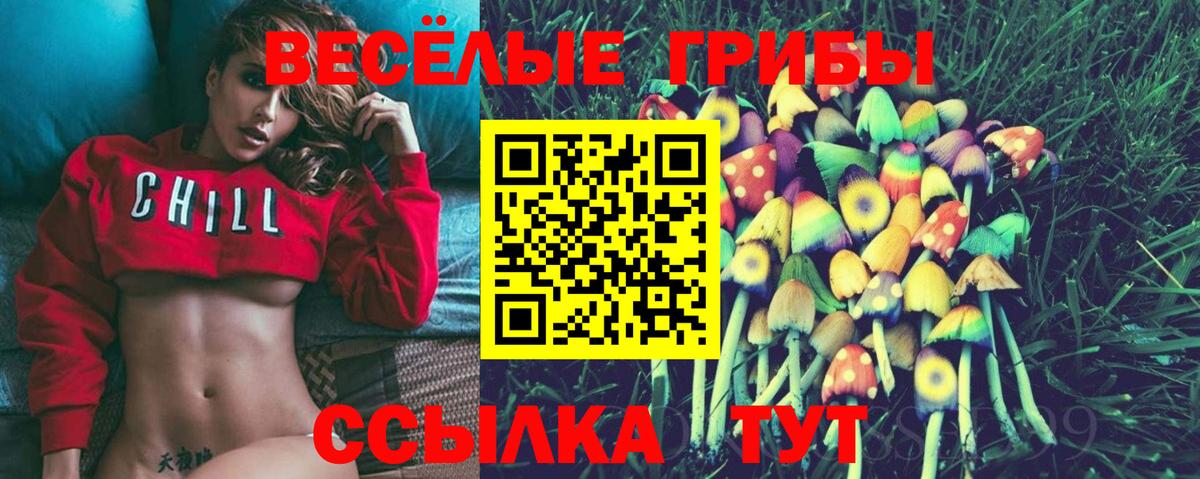 Галлюциногенные грибы Cubensis  Вход с VPN  Мурманск 